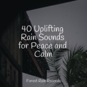 40 Uplifting Rain Sounds for Peace and Calm