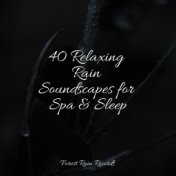 40 Relaxing Rain Soundscapes for Spa & Sleep