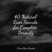 40 Natural Rain Sounds for Complete Serenity