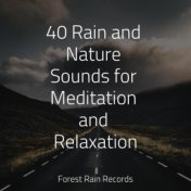 40 Rain and Nature Sounds for Meditation and Relaxation