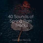 40 Sounds of Spring Rain Tracks