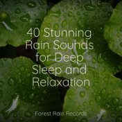 40 Stunning Rain Sounds for Deep Sleep and Relaxation