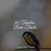 40 Timeless Rain Tracks