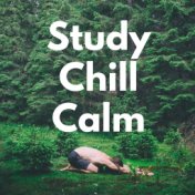 Study, Chill, Calm