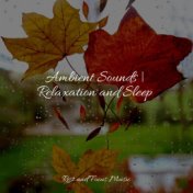 Ambient Sounds | Relaxation and Sleep