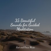 35 Beautiful Sounds for Guided Meditation