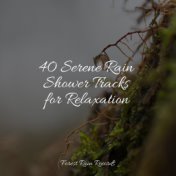 40 Serene Rain Shower Tracks for Relaxation