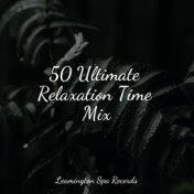 50 Ultimate Relaxation Time Mix
