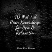 40 Natural Rain Recordings for Spa & Relaxation