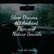 Sleep Dreams - 40 Ambient Rain and Nature Sounds