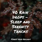 40 Rain Drops - Sleep and Serenity Tracks