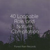 40 Loopable Rain and Nature Compilation
