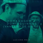 Homenagem a Dominguinhos (Vanerão de Gibão)