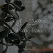 Deep Nature Sounds: Calming Rain