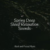 Spring Deep Sleep Relaxation Sounds