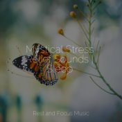 Mystical Stress Relief Sounds | Sleep