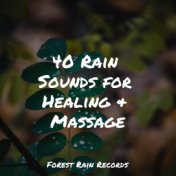 40 Rain Sounds for Healing & Massage