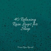 40 Relaxing Rain Loops for Sleep