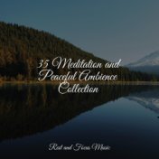 35 Meditation and Peaceful Ambience Collection
