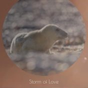 Storm of Love