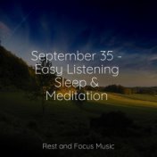 September 35 - Easy Listening Sleep & Meditation