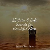 35 Calm & Soft Sounds for Beautiful Sleep