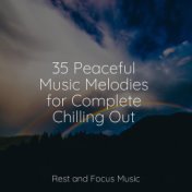 35 Peaceful Music Melodies for Complete Chilling Out