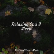 Relaxing Spa & Sleep