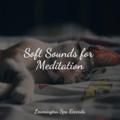 Soft Sounds for Meditation