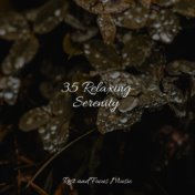 35 Relaxing Serenity