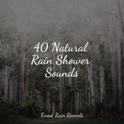 40 Natural Rain Shower Sounds