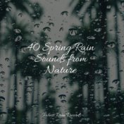 40 Spring Rain Sounds from Nature