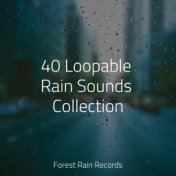 40 Loopable Rain Sounds Collection