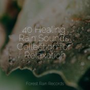 40 Healing Rain Sounds Collection for Relaxation