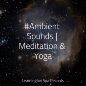 #Ambient Sounds | Meditation & Yoga