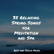 35 Relaxing Spring Songs for Meditation and Spa