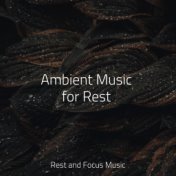 Ambient Music for Rest