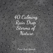 40 Calming Rain Drop Storms of Nature