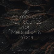 40 Harmonious Rain Sounds for Meditation & Yoga