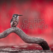 Chirps Weather