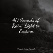 40 Sounds of Rain: Light to Eastern