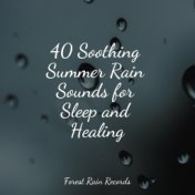 40 Soothing Summer Rain Sounds for Sleep and Healing