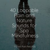 40 Loopable Rain and Nature Sounds for Spa Mindfulness