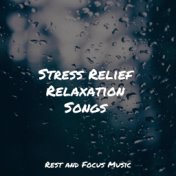 Stress Relief Relaxation Songs
