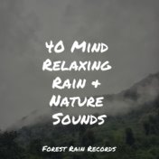 40 Mind Relaxing Rain & Nature Sounds
