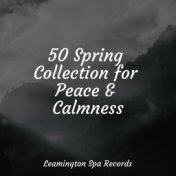 50 Spring Collection for Peace & Calmness