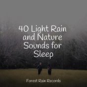 40 Light Rain and Nature Sounds for Sleep