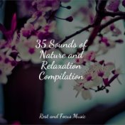 35 Sounds of Nature and Relaxation Compilation