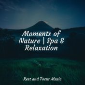 Moments of Nature | Spa & Relaxation