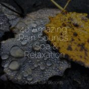 40 Amazing Rain Sounds - Spa & Relaxation